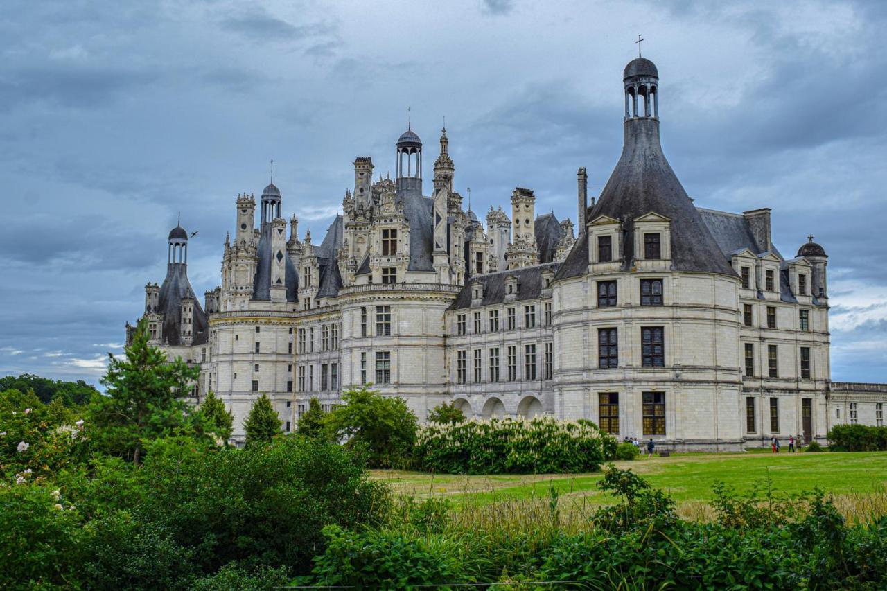 Auberge De La Caillere Candé-sur-Beuvron Zewnętrze zdjęcie